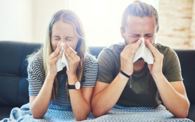 Improving Indoor Air Quality in Belleville, IL