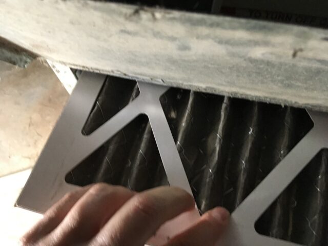 Picture6